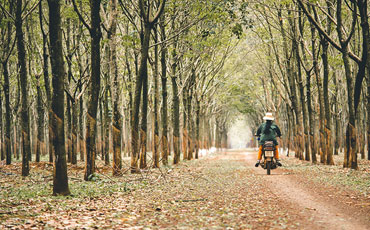 img_para_3_006_card_img_000